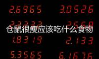 倉鼠很瘦應(yīng)該吃什么食物？倉鼠很瘦吃什么好