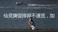 仙靈脾促排卵不速覽，加五味子泡水提高性功能有奇效