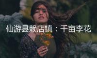 仙游縣賴店鎮(zhèn)：千畝李花引客來 農(nóng)旅融合繪春色