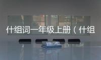 什組詞一年級上冊（什組詞）