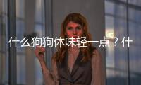 什么狗狗體味輕一點？什么狗狗體味重