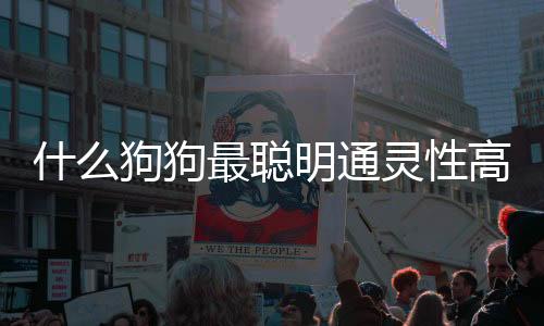 什么狗狗最聰明通靈性高？什么品種的狗最聰明最通人性 知乎