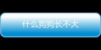 什么狗狗長不大