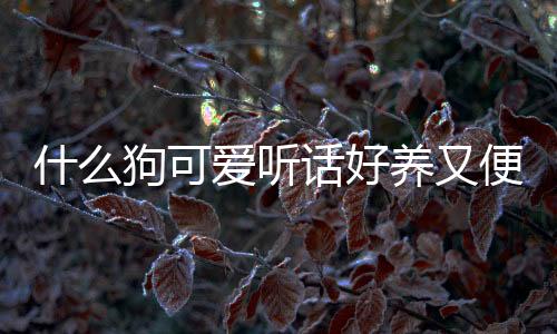 什么狗可愛聽話好養(yǎng)又便宜(什么品種的狗可愛聽話)