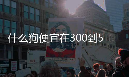 什么狗便宜在300到500（什么狗便宜在300以下）