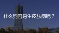 什么狗容易生皮膚病呢？什么狗最容易得皮膚病
