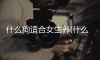 什么狗適合女生養(什么狗適合家里養)