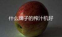 什么牌子的榨汁機(jī)好