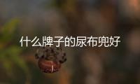 什么牌子的尿布兜好
