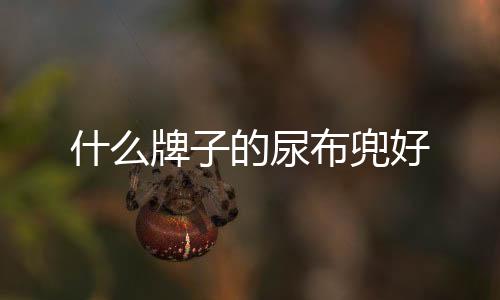 什么牌子的尿布兜好