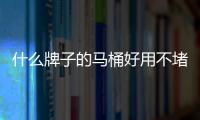 什么牌子的馬桶好用不堵（什么牌子的馬桶好）