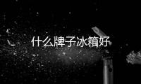 什么牌子冰箱好