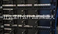 什么生什么什么的成語大全（成語什么什么生什么）