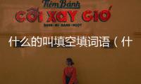什么的叫填空填詞語(yǔ)（什么意思什么填空詞語(yǔ)）