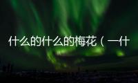 什么的什么的梅花（一什么梅花）