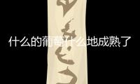 什么的葡萄什么地成熟了填空（葡萄什么地變什么了填空）