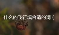 什么的飛行填合適的詞（什么的飛行）