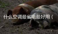 什么空調最省電最好用（什么空調最省電）
