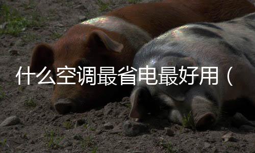 什么空調最省電最好用（什么空調最省電）