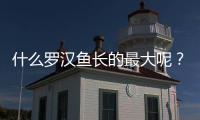 什么羅漢魚長的最大呢？哪種羅漢魚最大
