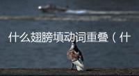 什么翅膀填動詞重疊（什么翅膀填動詞）