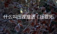 什么叫壓茬推進（壓茬拓展）