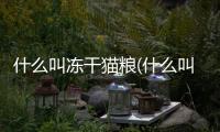 什么叫凍干貓糧(什么叫膨化貓糧)