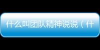什么叫團隊精神說說（什么叫團隊精神）