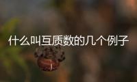 什么叫互質數的幾個例子（什么叫互質數）