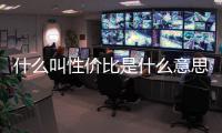 什么叫性價比是什么意思啊（性價比什么意思）