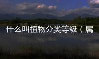 什么叫植物分類等級（屬于植物分類等級的是）