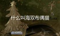 什么叫海雙布偶貓