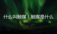 什么叫觸媒（觸媒是什么意思）