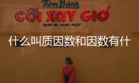 什么叫質因數和因數有什么區別（什么叫質押貸款）