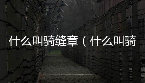 什么叫騎縫章（什么叫騎縫章）