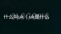 什么叫uk（uk是什么東西）