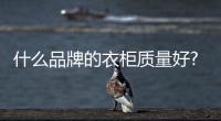 什么品牌的衣柜質量好?小編推薦十個品牌
