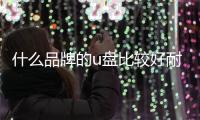 什么品牌的u盤比較好耐用，什么品牌的U盤比較好