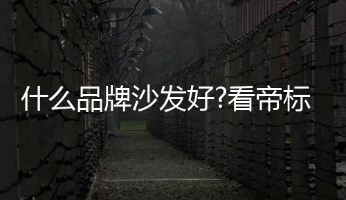 什么品牌沙發好?看帝標家居如何演繹韻味中國風