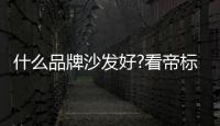什么品牌沙發(fā)好?看帝標(biāo)家居如何演繹韻味中國(guó)風(fēng)