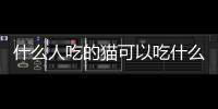 什么人吃的貓可以吃什么水果呢(哪些人吃的東西貓能吃)