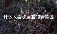 什么人喜歡發貓的表情包？ 可愛小貓咪表情包