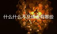 什么什么不及成語有哪些（什么什么不及成語）