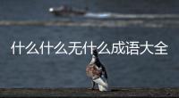 什么什么無什么成語大全四個字（什么什么無什么）