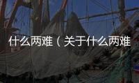 什么兩難（關于什么兩難的基本情況說明介紹）