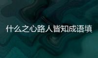 什么之心路人皆知成語填人名（什么之心路人皆知）