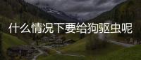 什么情況下要給狗驅(qū)蟲呢(什么情況下要給狗狗驅(qū)蟲)
