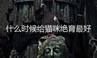 什么時候給貓咪絕育最好?(母貓咪什么時候做絕育手術)