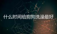 什么時間給狗狗洗澡最好(狗狗皮膚病用什么洗澡最好)