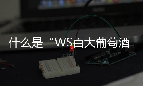 什么是“WS百大葡萄酒”？